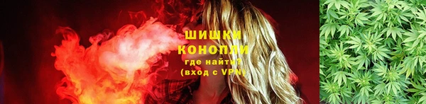 spice Алексин