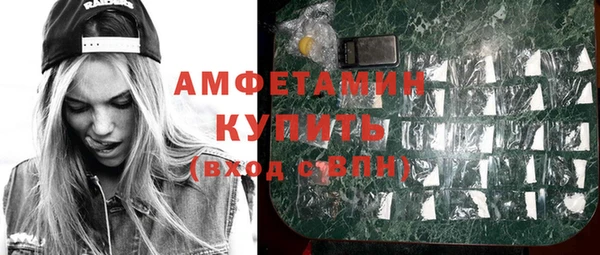 гашик Алексеевка