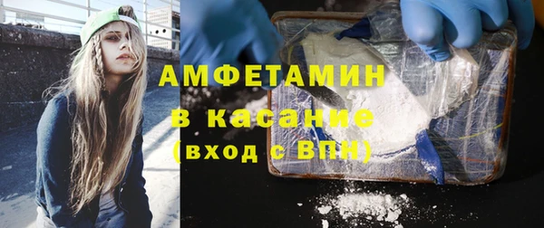 гашик Алексеевка