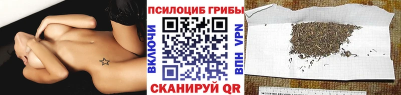 Галлюциногенные грибы Magic Shrooms  Абинск 